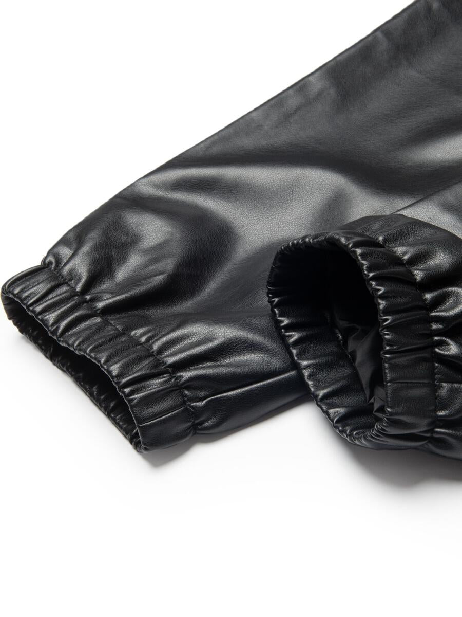 dcpl VEGAN LEATHER PANTS