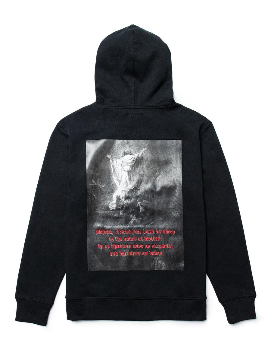 dcpl TECH FLEECE MATTHEW 10:16 HOODIE