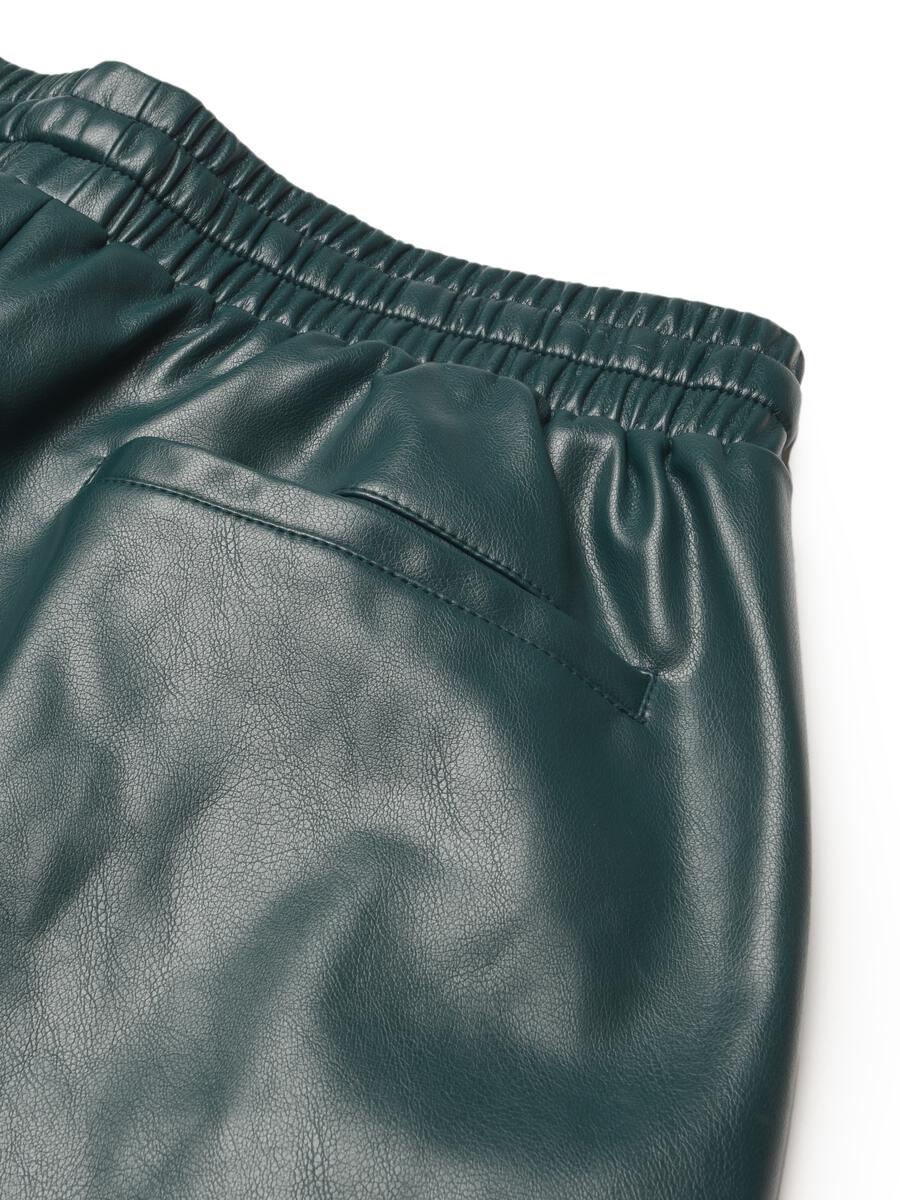 dcpl VEGAN LEATHER PANTS